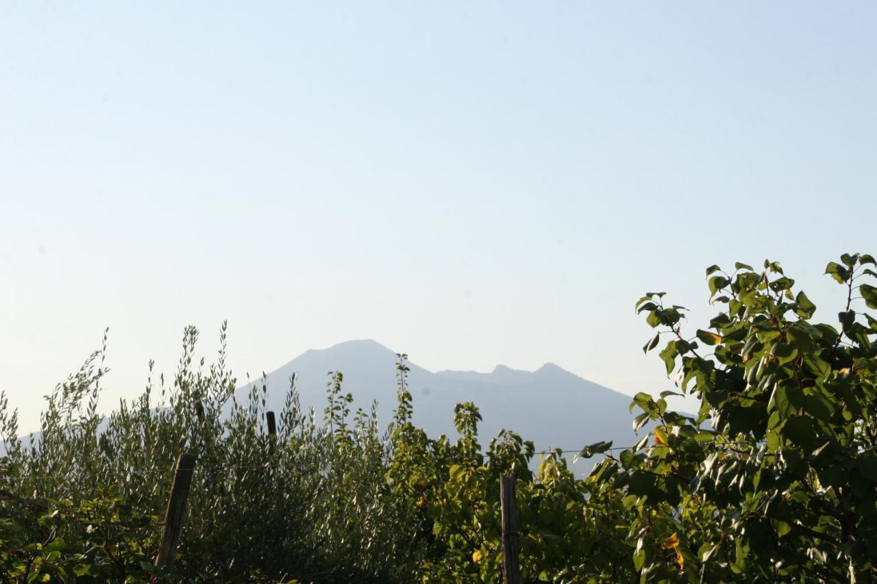 Corbara Agriturismo A Do' Cumparone住宿加早餐旅馆 外观 照片