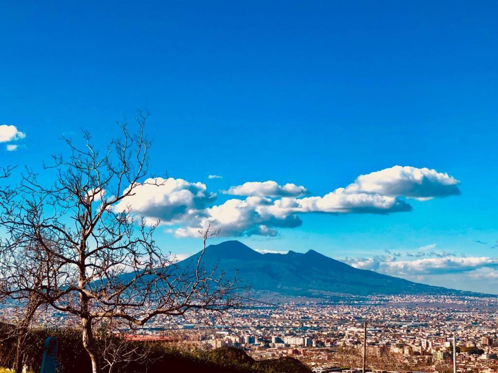 Corbara Agriturismo A Do' Cumparone住宿加早餐旅馆 外观 照片